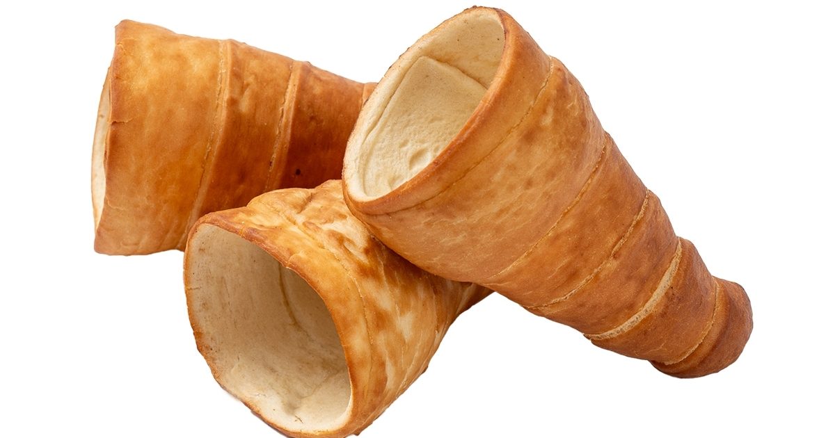 Conewich 6